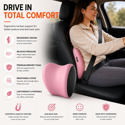 Lumbar Support Car Cushion and Headrest